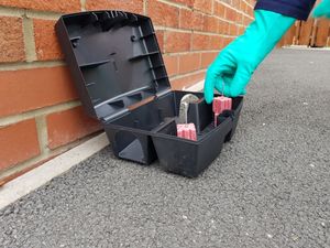 설치류 미끼 상자에 미끼를 넣는 모습