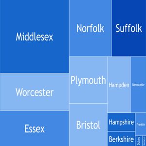 2020년 미국 대통령 선거 매사추세츠주 트리맵바이든: 50-60%: #86b6f2, 60-70%: #4389e3, 70-80%: #1666cb, 80-90%: #0645b4