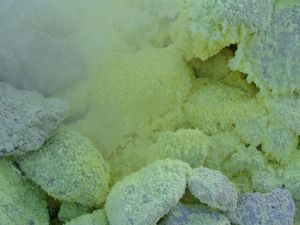 아토사누푸리 지표의 분기공