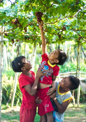 라우니온주 바왕의 농업 관광 포도 농장