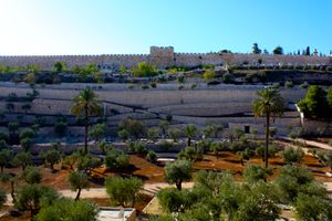 감람산 서쪽 경사면에서 본 황금 문