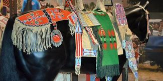 국립 아메리카 인디언 박물관 전시 중인, 약 1880년대의 까마귀족 말 장식품, 요람판 포함