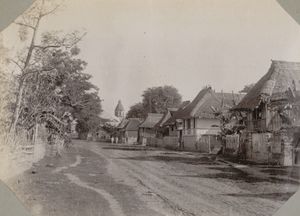 1900년경 산 페르난도의 길가에 있는 집들