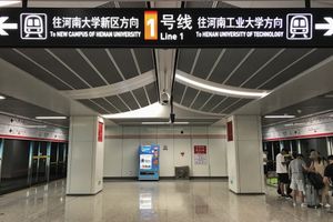 룽쯔후 역 (1호선)