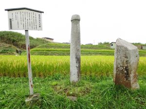 키타자와 강(北沢川)에서 발견된, 조몬 시대의 2.23미터 돌 막대(세키보)인 '키타자와의 대 세키보'( 北沢大石棒)'. 미샤구지는 다양한 물체(요리시로)에 깃든다고 여겨졌으며, 세키보도 그 중 하나였다.