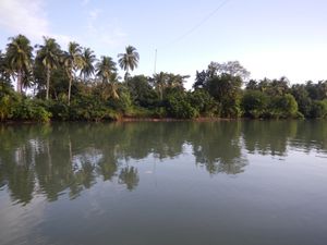 코타의 이야므 강