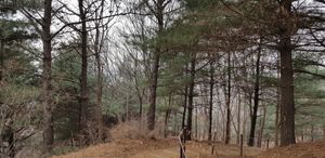 청명산 산중의 길