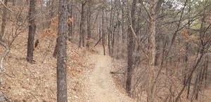 청명산 가는길 서쪽 산책로