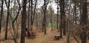 청명산 중앙에 있는 의자들