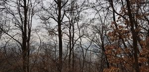 청명산에서 서쪽에 있은 영통