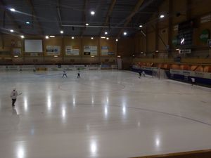 스벤스카 푀네스터 아레나(Svenska Fönster Arena)는 에드스뷔(Edsbyn)에 위치한 스웨덴 최초의 실내 밴디 경기장이다.