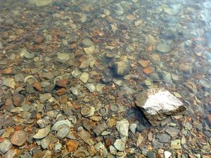 월요 유적지 청자 조각