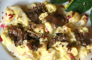 파스타에 토핑된 트러플