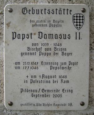 필데나우에 있는 다마소 2세의 출생지를 기념하는 명판