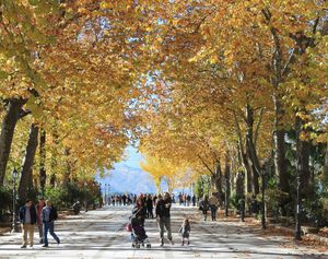 알라메다 델 타호 론다