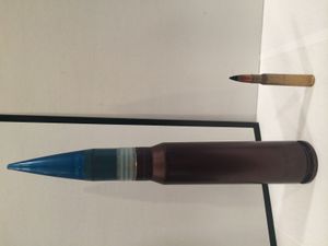 30x173mm 탄환과 .30-06 스프링필드 탄환 비교