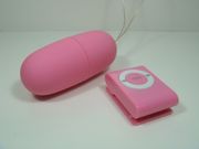 캡슐형(리모컨 타입)