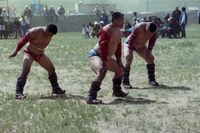 몽골의 씨름 선수