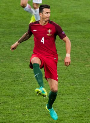 폰테가 포르투갈 소속으로 UEFA 유로 2016에서 플레이하는 모습