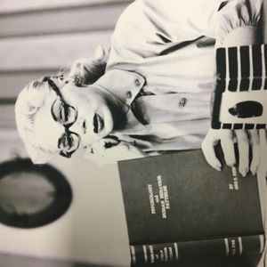 1954년 윌리의 준 해벅