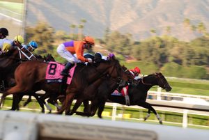 2016년 브리더스 컵 디스타프 출발