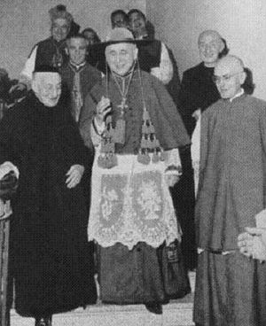 조반니 콜롬보 대주교가 각 측면에 10개의 녹색 술이 달린 갈레로를 착용한 모습