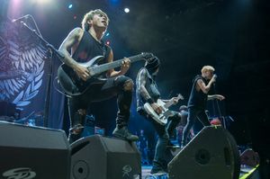 Rock im Park, 2014에서 공연하는 콜드레인