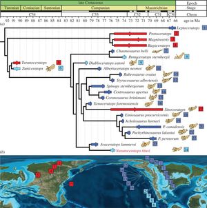 2013년 Sampson과 동료들의 연구에 따른 각룡과의 시간 보정된 계통 발생 관계 (위) 및 후기 백악기의 고생물지리 지도(아래)로, 각룡류의 분포를 나타낸다. 시노케라톱스는 17