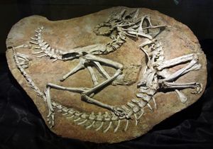 미국으로 밀반출된 후 몽골로 반환된 표본, 몽골 공룡 중앙 박물관