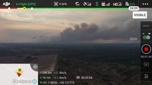 2020년 4월 4일의 산불