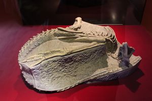 쯔궁 공룡 박물관에 전시된 모식 표본