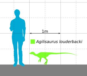 사람과 비교한 크기