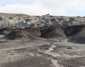티타노케라톱스의 모식 표본 채석장 부근에 있는 상부 프루트랜드 지층과 하부 키르틀랜드 지층의 지층