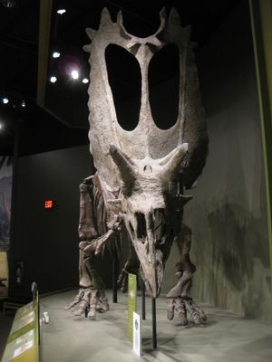 마운트의 정면도