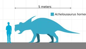 사람과의 크기 비교