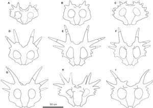 프릴 형태의 변이; 맨 위 줄은 아성체이고 나머지는 성체이다.