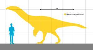 사람과 크기 비교
