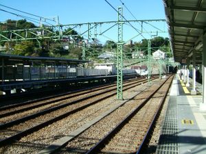 플랫폼 (2008년 11월)