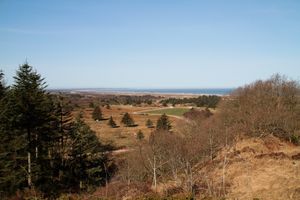 Svinkløv Dune Plantation