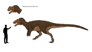 S. kazuoensis의 복원도