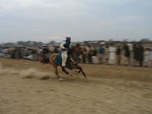 경주 중인 말과 기수