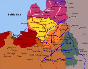 현지 반격, 1919–1920