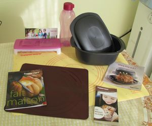 타파웨어사의 카탈로그와 제품의 예