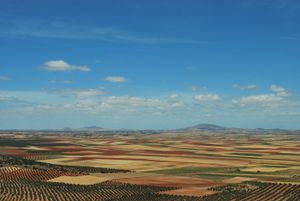 톨레도주 로스 예베네스의 여름