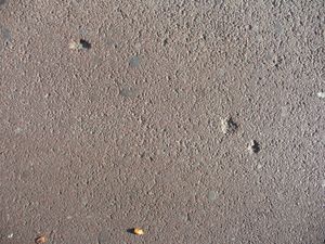 살해 10년 후, 탄흔은 Linnaeusstraat 22번지 앞 자전거 도로에서 여전히 볼 수 있었다(2014).