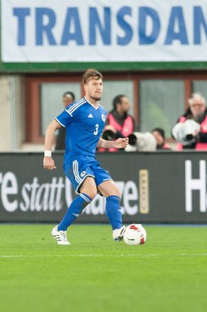 2015년 보스니아 헤르체고비나 대표팀에서 뛰는 비착치치