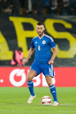 2015년 보스니아 헤르체고비나 축구 국가대표팀에서 뛰고 있는 메두냐닌