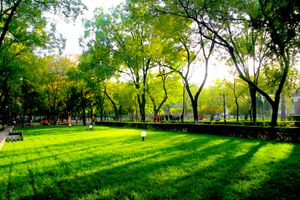 바오투취안 캠퍼스 중앙 사각형의 잔디밭과 나무