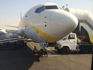 제트 에어웨이즈(Jet Airways) 보잉 737(Boeing 737)의 노즈콘.