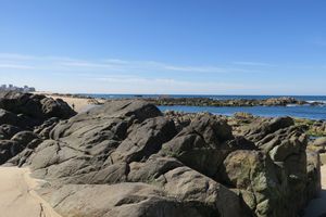 화강암 편마암. 편마암은 만조 때 잠기는 곶과 작은 섬을 형성한다. 이곳은 생물학적으로 풍부하고 다양한 환경이다.